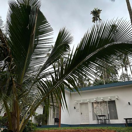 Silver Oak By Exuberance Stays Wayanad Exterior foto