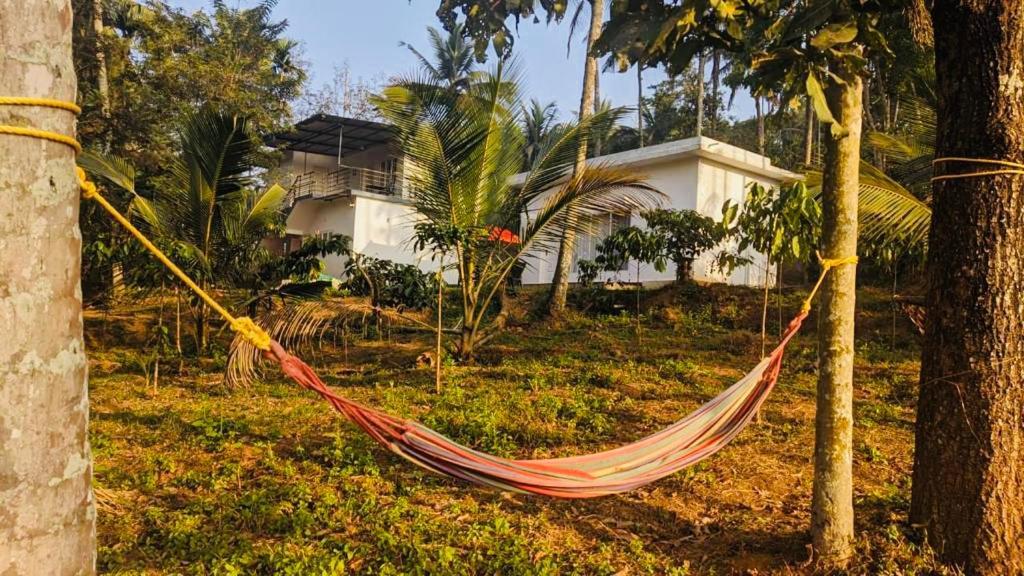 Silver Oak By Exuberance Stays Wayanad Exterior foto