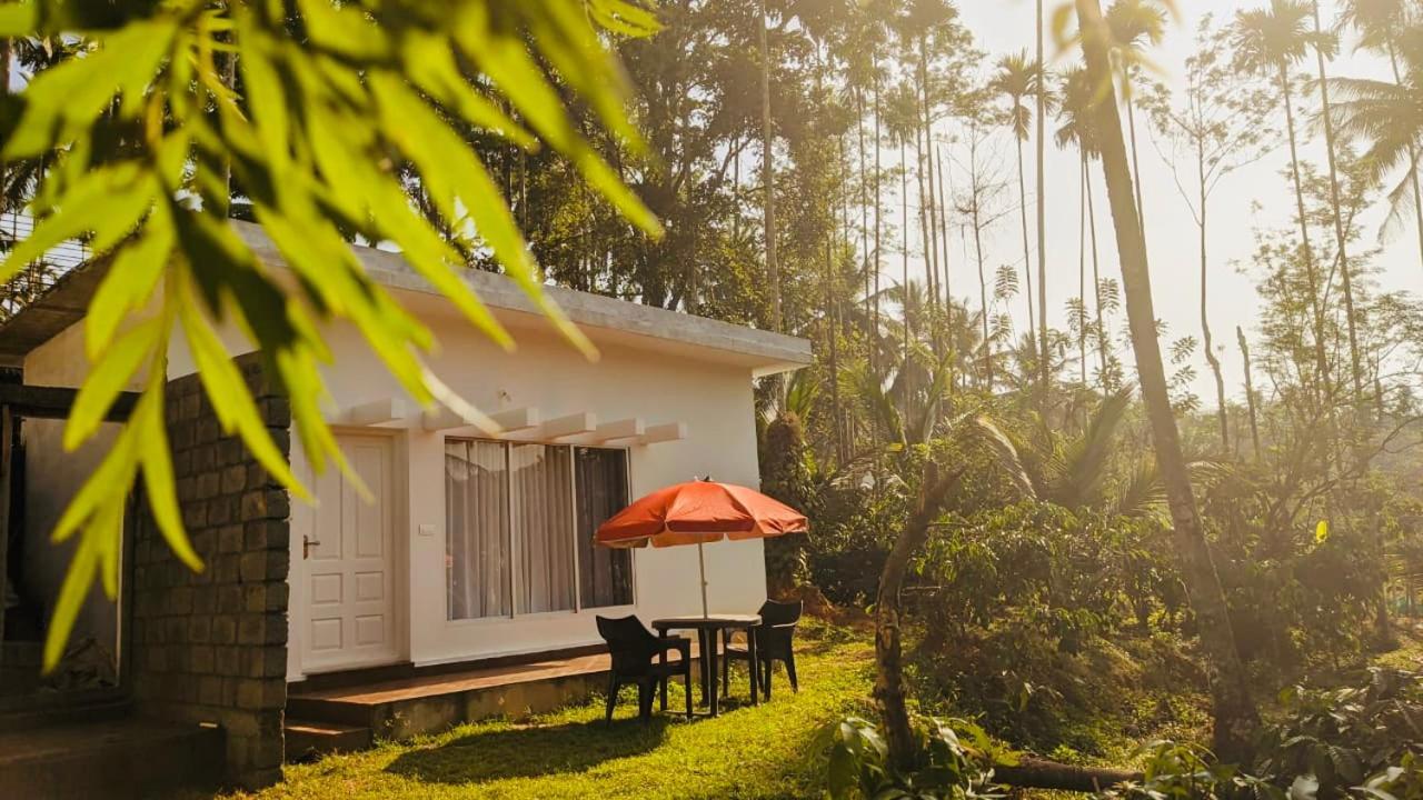 Silver Oak By Exuberance Stays Wayanad Exterior foto